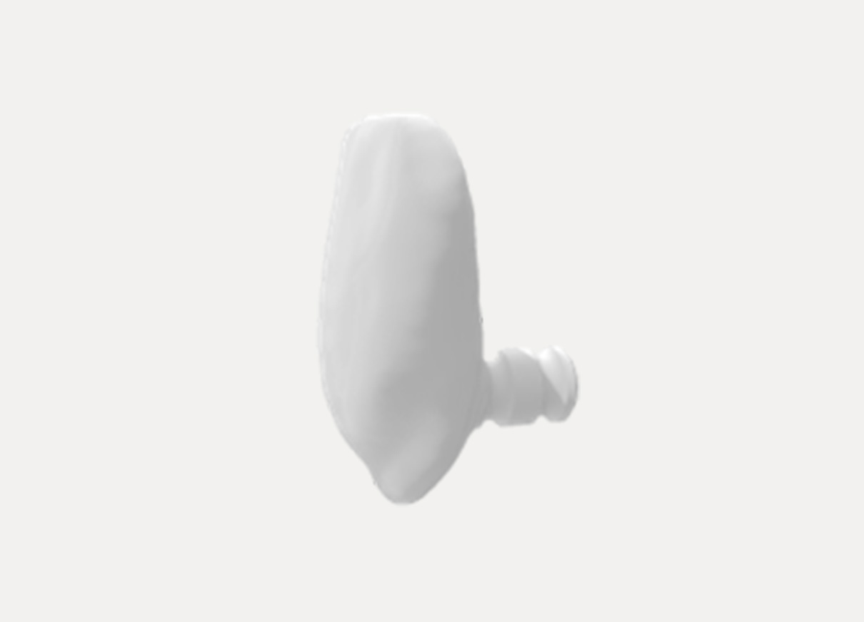 Shade Guide Tooth-v2
